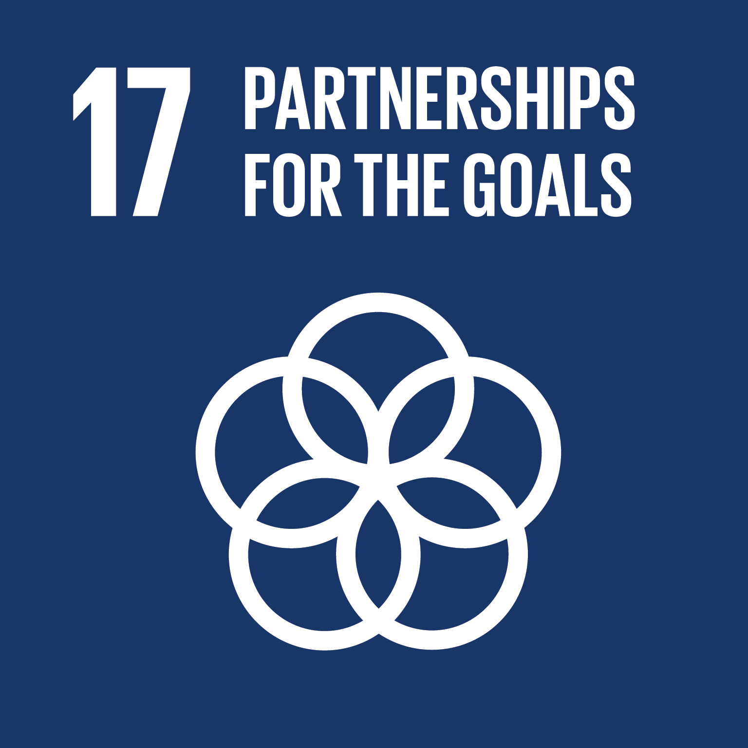 SDG 17: Partnerships