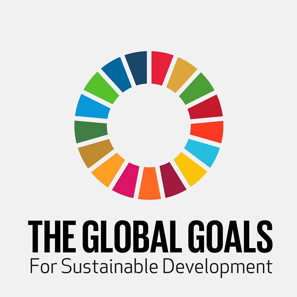 SDG 18: Partnerships